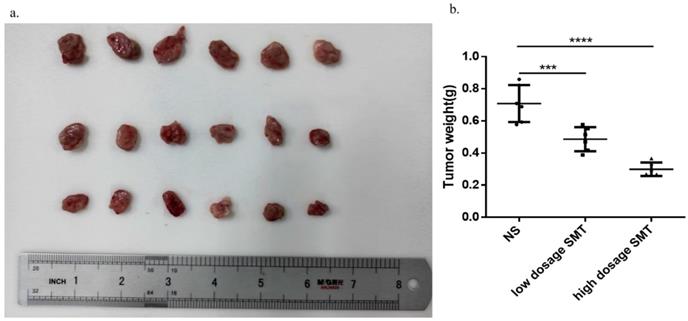 J Cancer Image