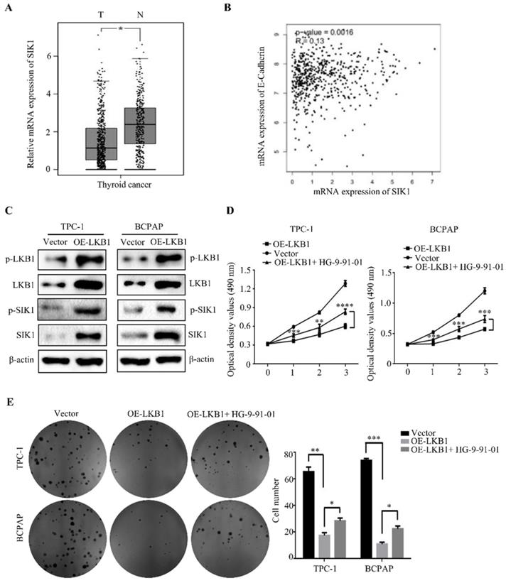 J Cancer Image