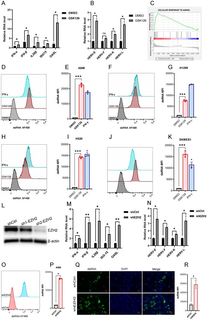 J Cancer Image