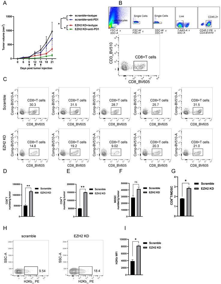 J Cancer Image