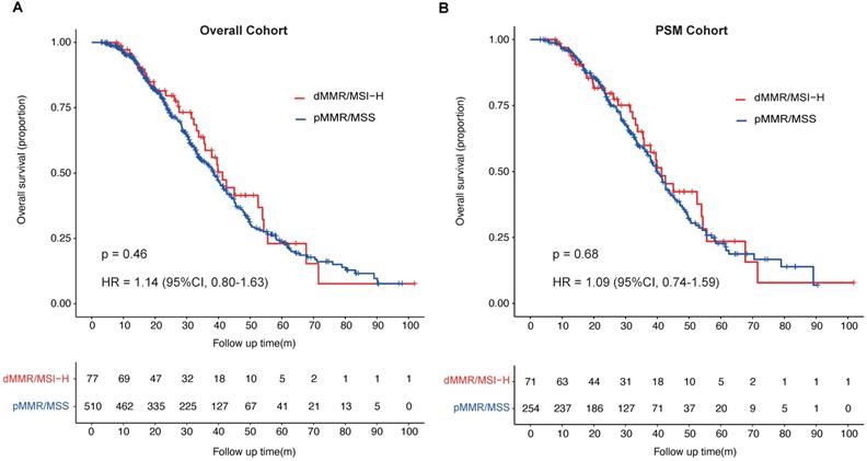 J Cancer Image