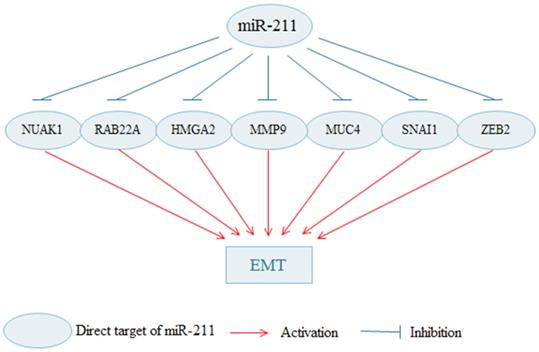 J Cancer Image