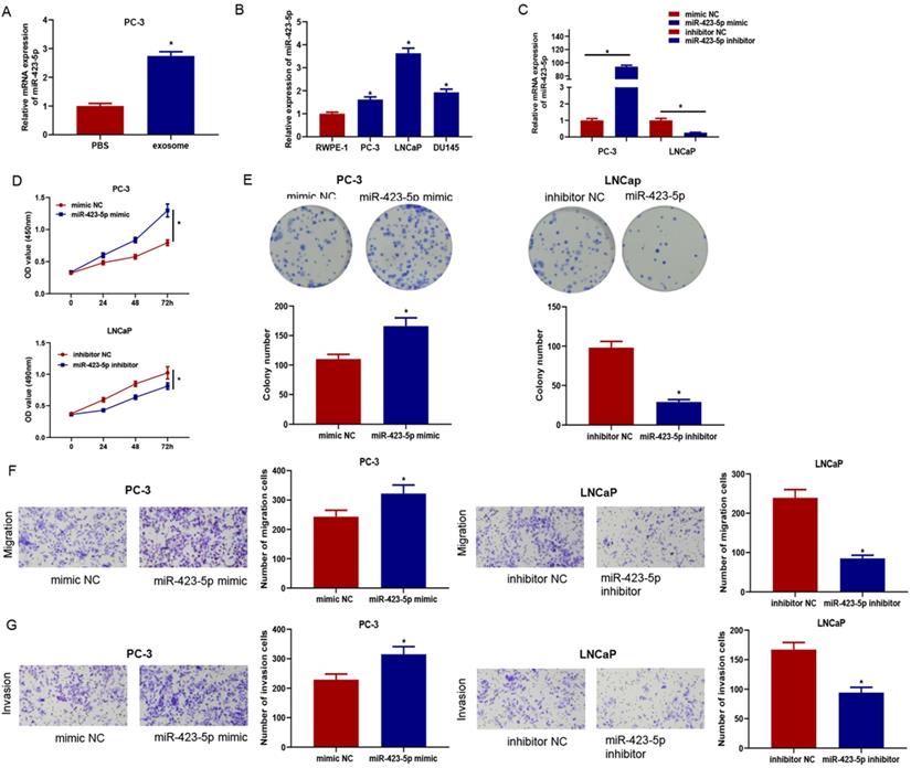 J Cancer Image