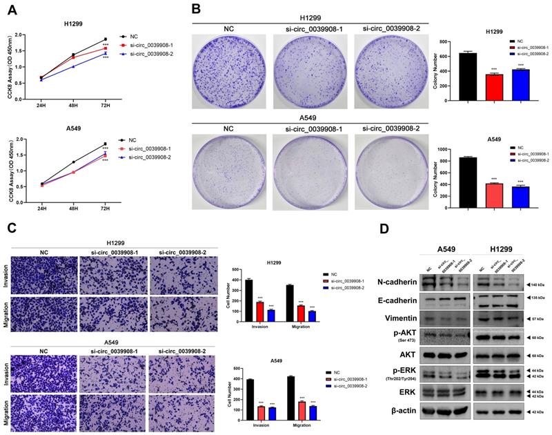 J Cancer Image