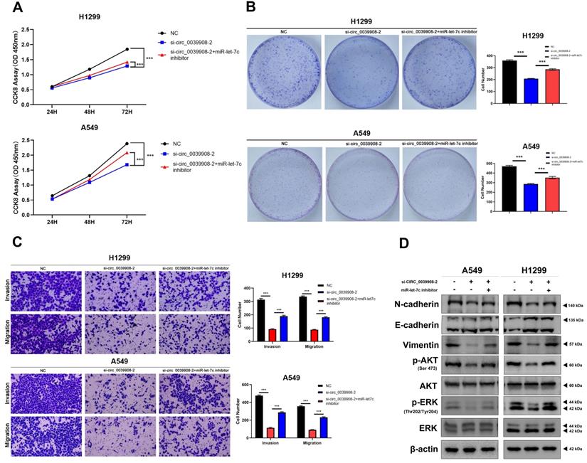 J Cancer Image