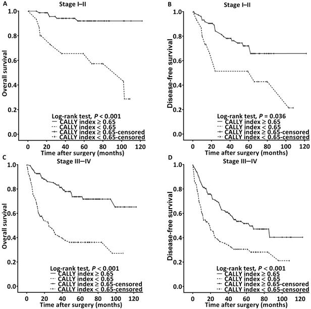 J Cancer Image