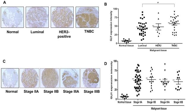 J Cancer Image