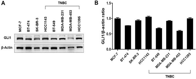 J Cancer Image