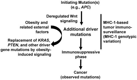 J Cancer Image