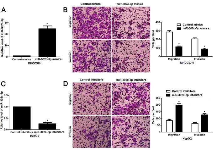 J Cancer Image