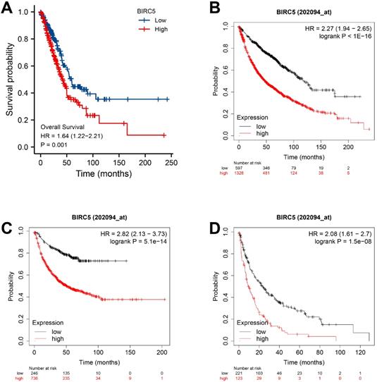 J Cancer Image