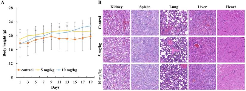 J Cancer Image