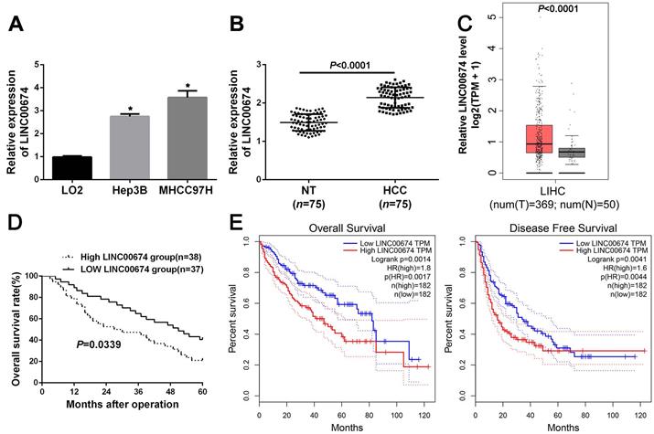 J Cancer Image