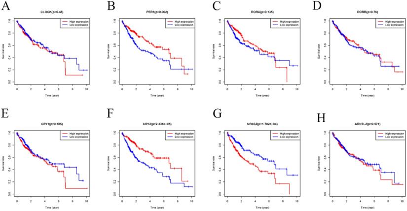 J Cancer Image