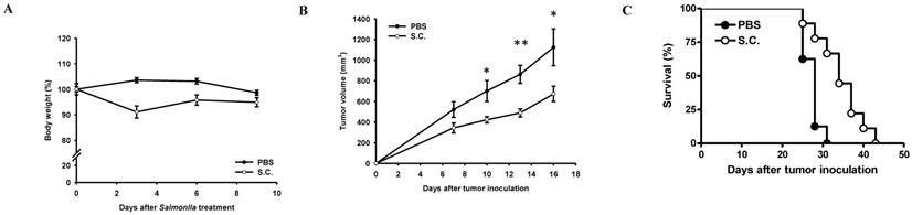 J Cancer Image