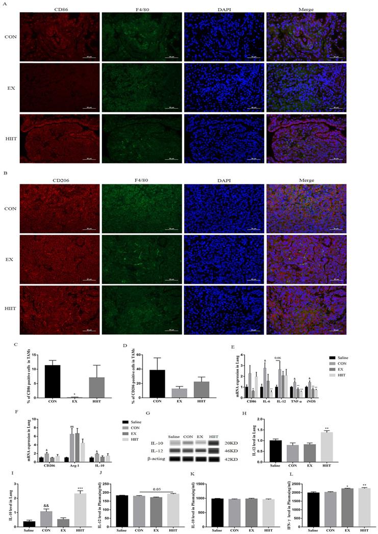 J Cancer Image