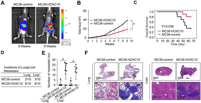 J Cancer Image