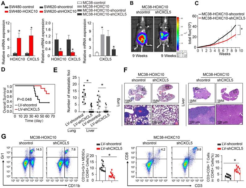 J Cancer Image