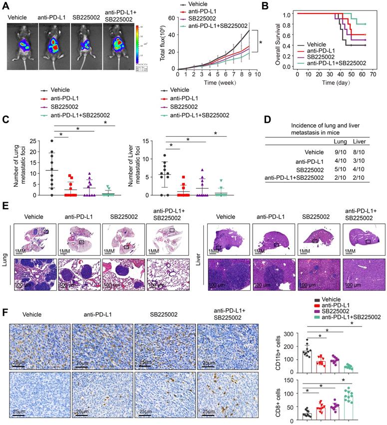 J Cancer Image