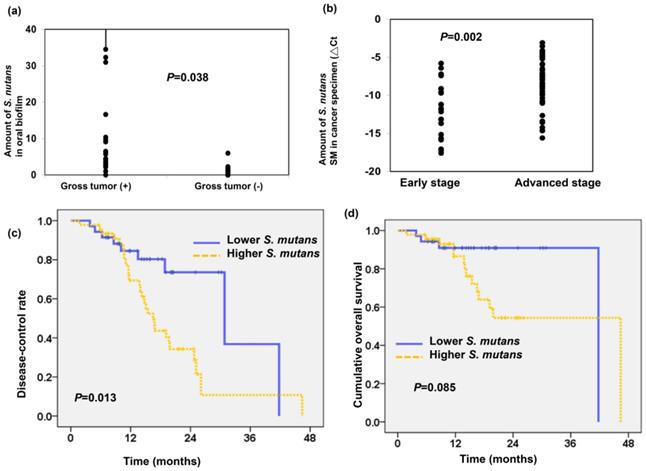 J Cancer Image