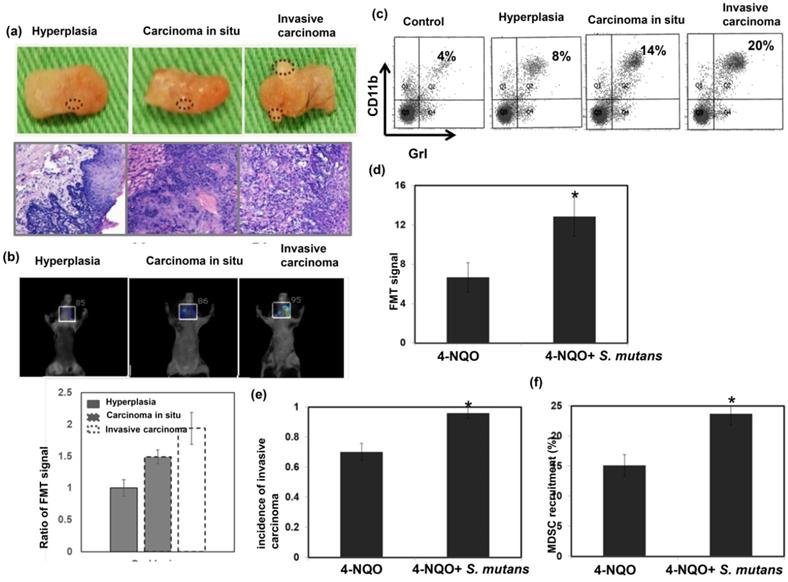 J Cancer Image