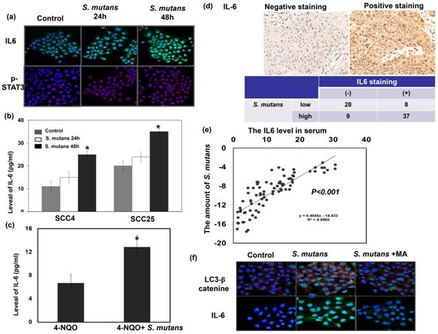 J Cancer Image