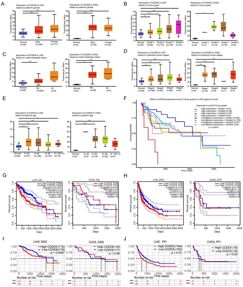 J Cancer Image