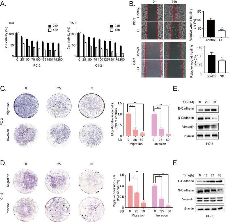 J Cancer Image