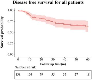 J Cancer Image