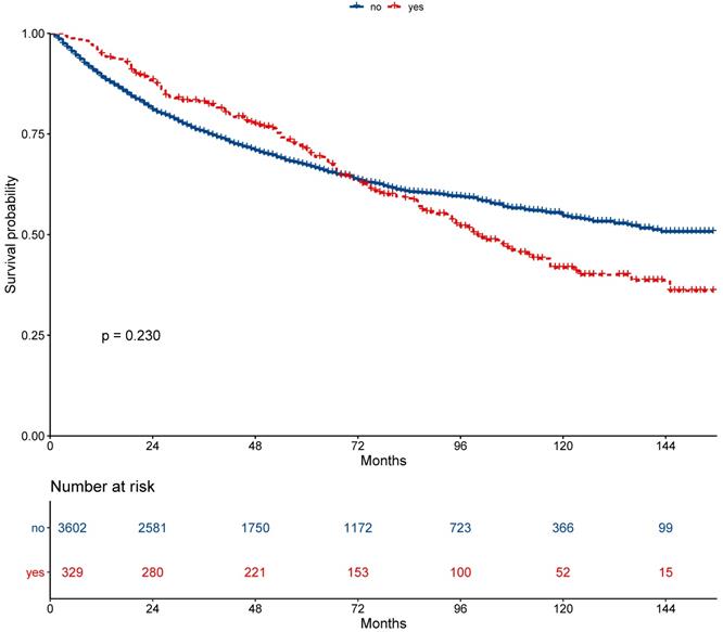 J Cancer Image