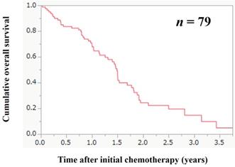 J Cancer Image