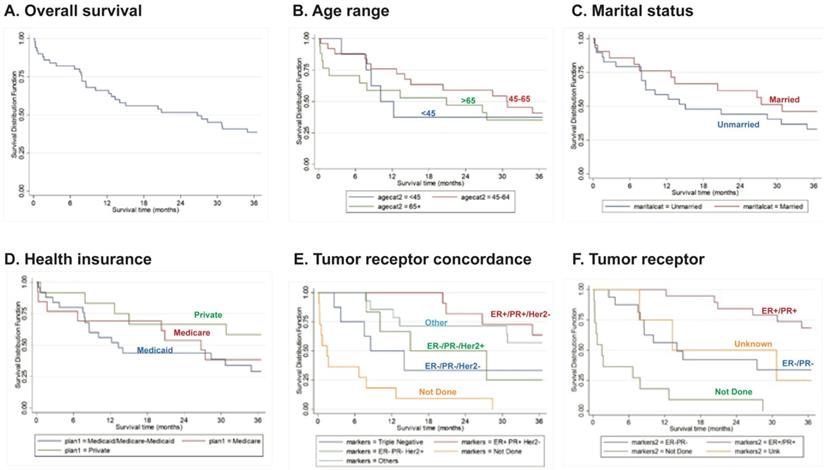 J Cancer Image