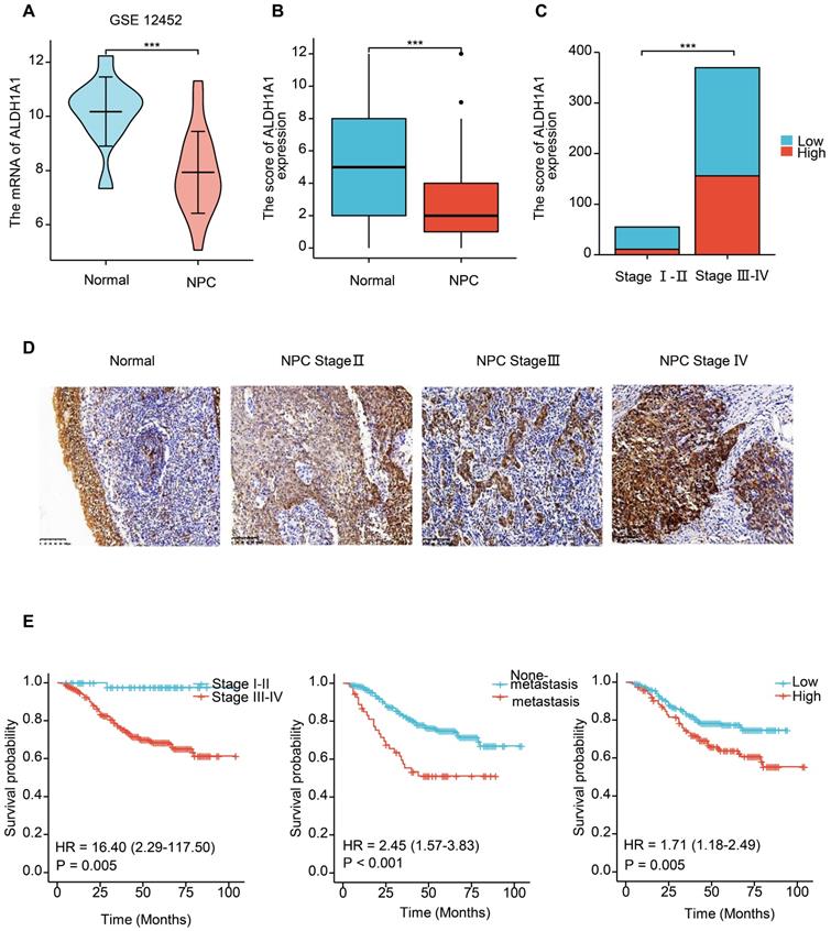 J Cancer Image