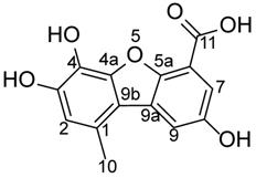 J Cancer Image