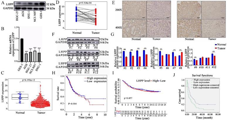 J Cancer Image