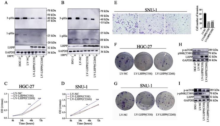 J Cancer Image