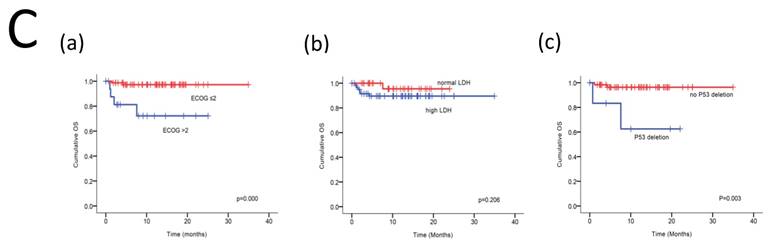 J Cancer Image