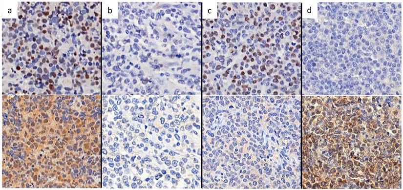 J Cancer Image