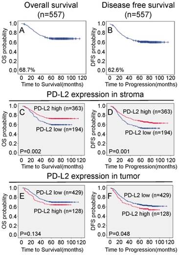 J Cancer Image