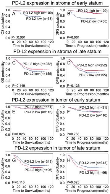 J Cancer Image