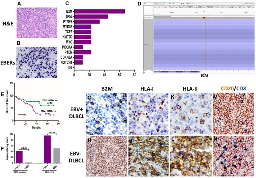 J Cancer Image