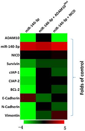 J Cancer Image