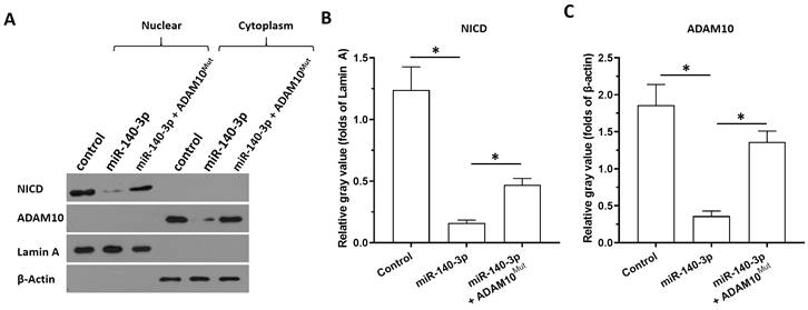 J Cancer Image