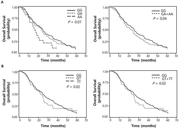 J Cancer Image