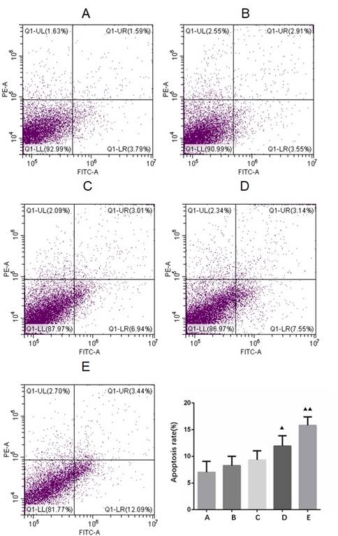 J Cancer Image