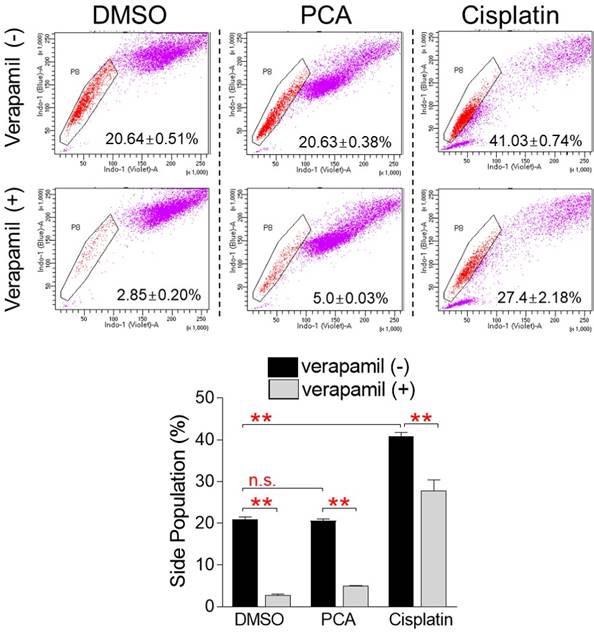 J Cancer Image