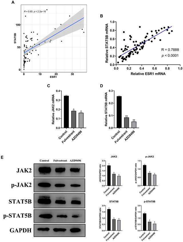 J Cancer Image