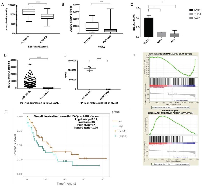 J Cancer Image