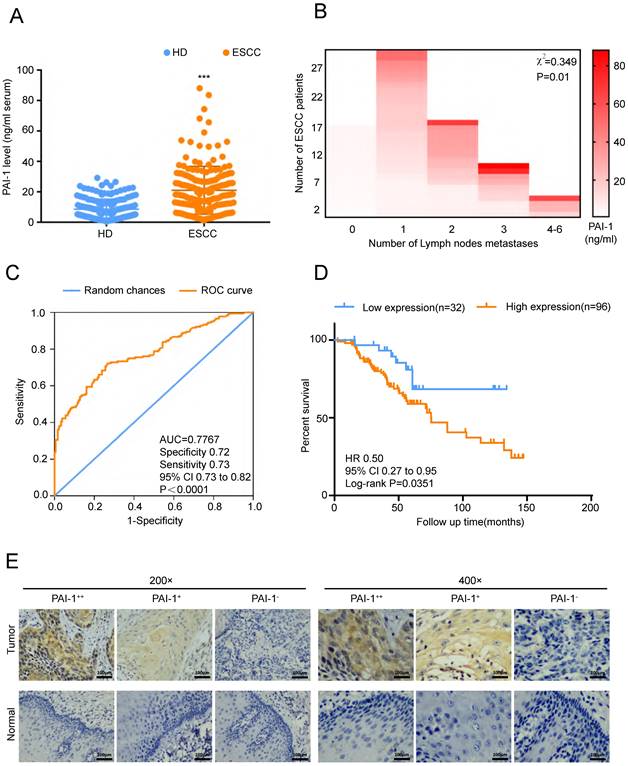 J Cancer Image