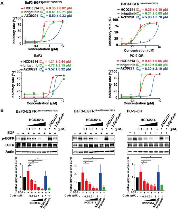 J Cancer Image